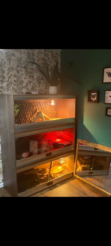 vivexotic plus vivarium x2
