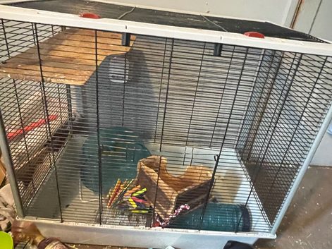 Rat cage