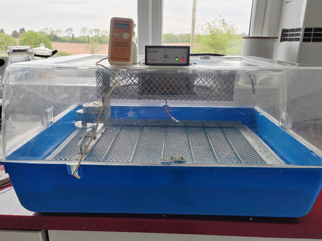 Fiam Incubator