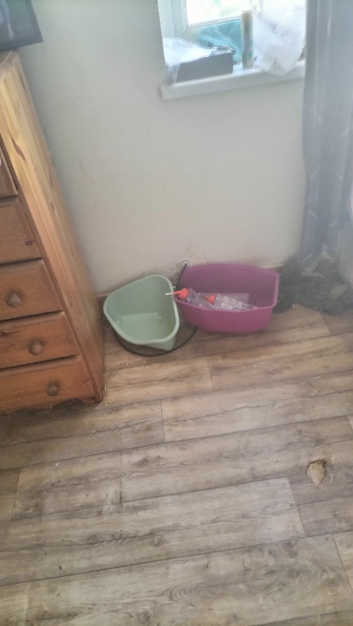 two rabbit cages for sale