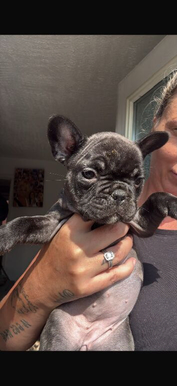 1 girl pup left out of a litter of 8