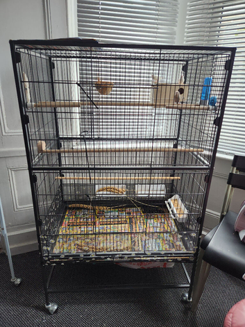 bids cage for sale