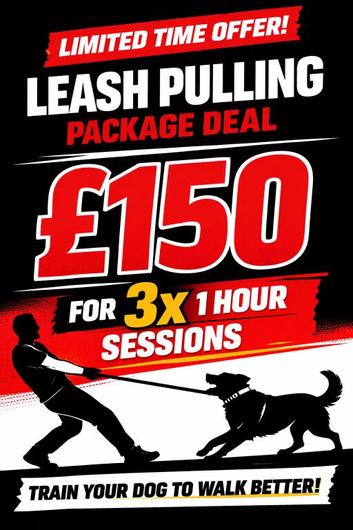 Limited time offer
