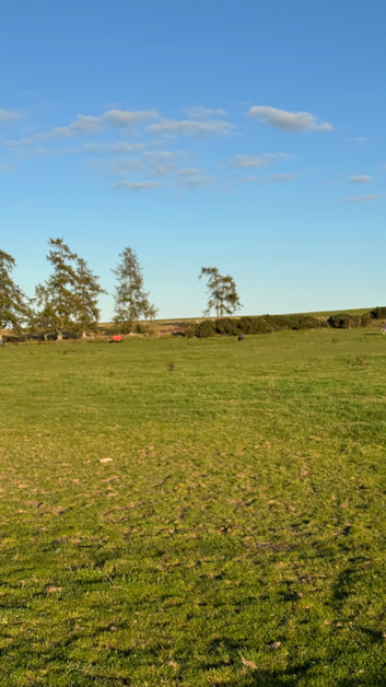 Grazing to let in Perth