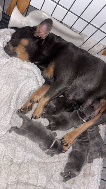 1 FEMALE READY TO LEAVE