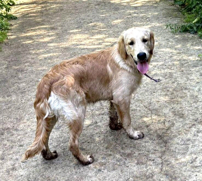 1 boy available