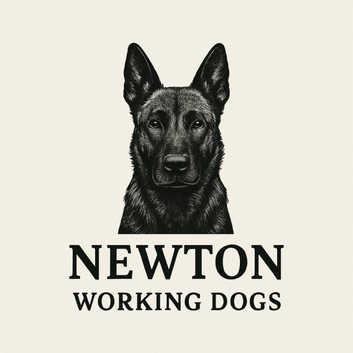 Dog training K9