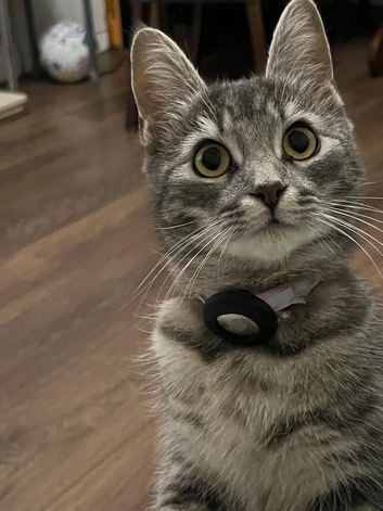 Cleo