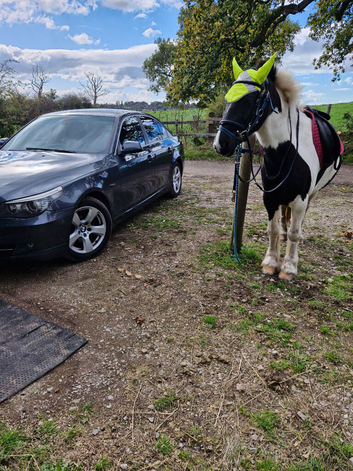 13.3 native cob for full loan