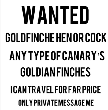 Canary&rsquo;s wants all types