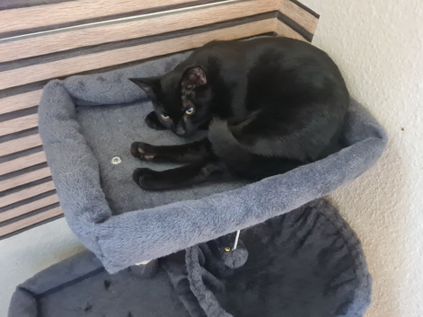 Lovely shy boy
