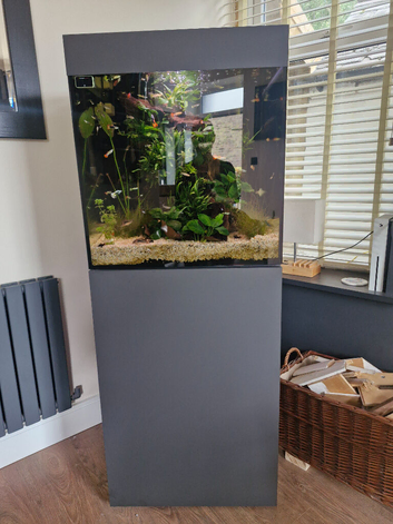 Fish tank and more