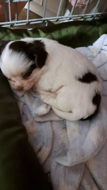 Lovely little boy