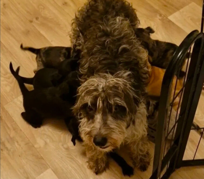 Are You My Forever Family?