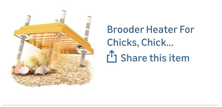 Chick heat plate