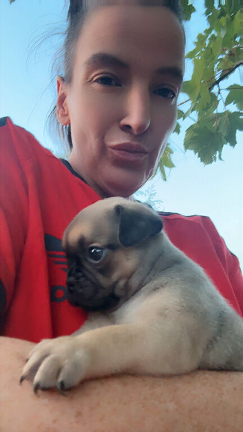 Jug Pup