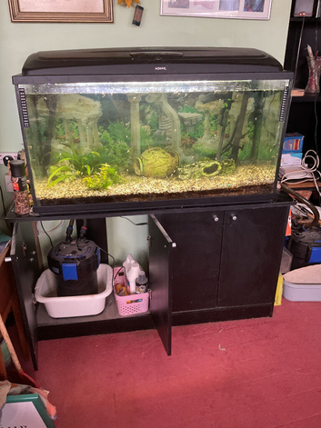 Aqairium with cupboards and fish