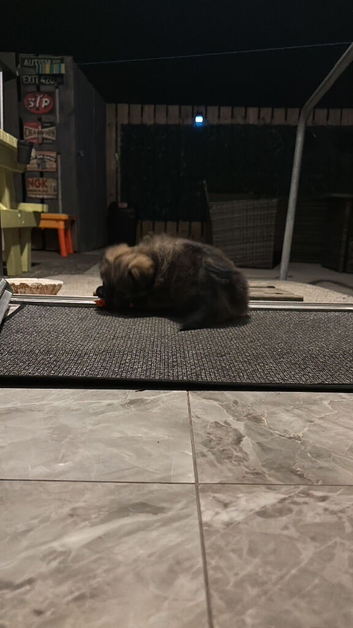 14 weeks old