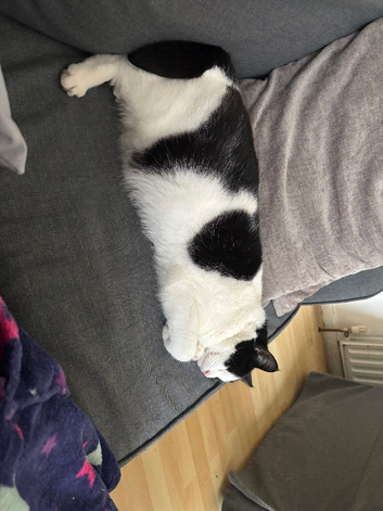 Rehome