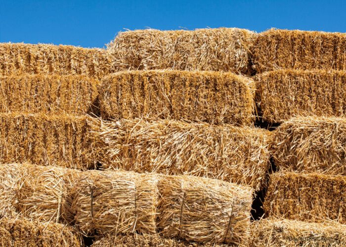 Small bale Straw, Wheat, 2 string.