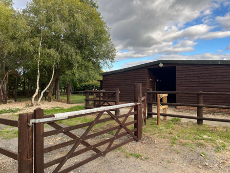 3 DIY stables with 8 acres of paddock and large well-maintained menage
