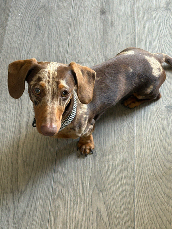 Our beautiful boy Benjamin