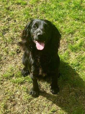 TILLY