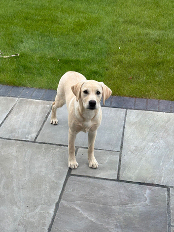 8 months old girl