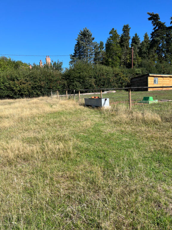 1.5 acres to rent with stables near Bromsgrove