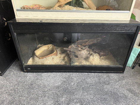Vivarium