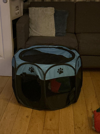Dog pop up tent!