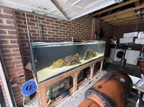 8ft full tank set up