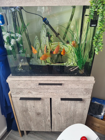 For sale