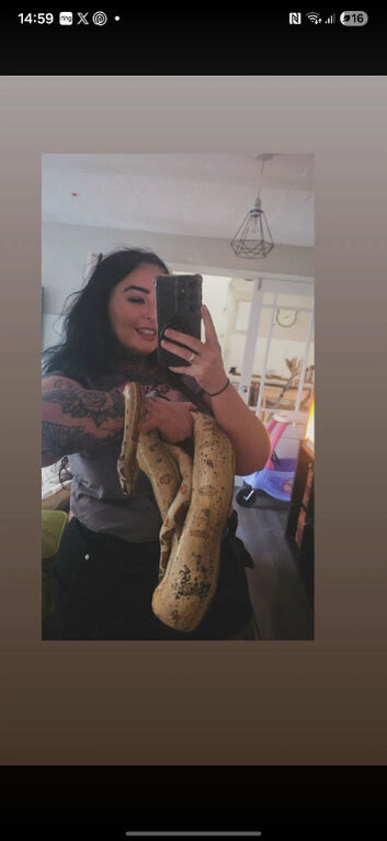 HYPO JUNGLE BOA
