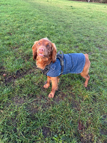 Lovely Boy