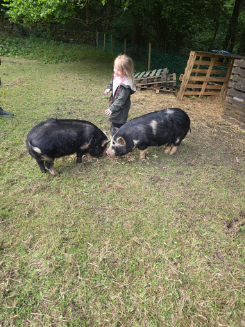Pair of kunkune