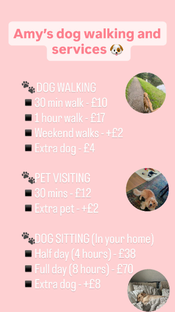 Dog walking and services available