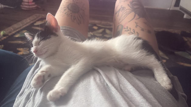 2 month old gorgeous boy