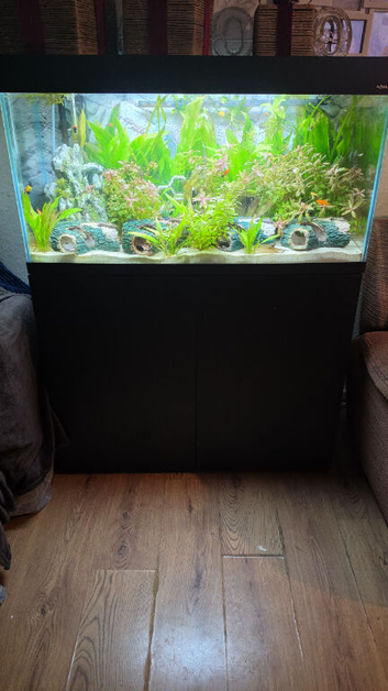 250L Fish Tank