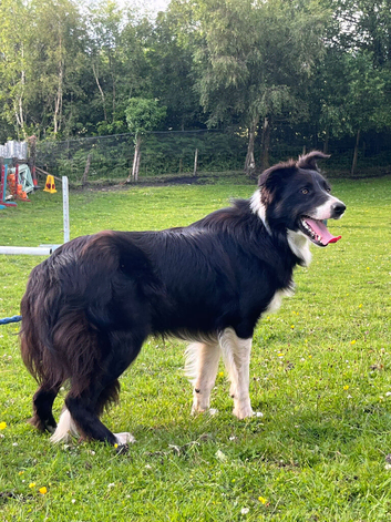 Ben
