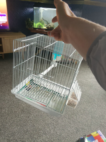 Mule cage