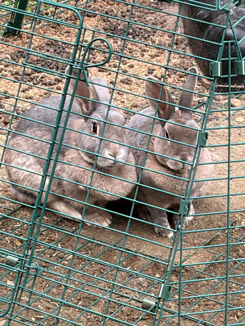 Mum and daughter