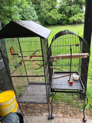 Two large upright cages