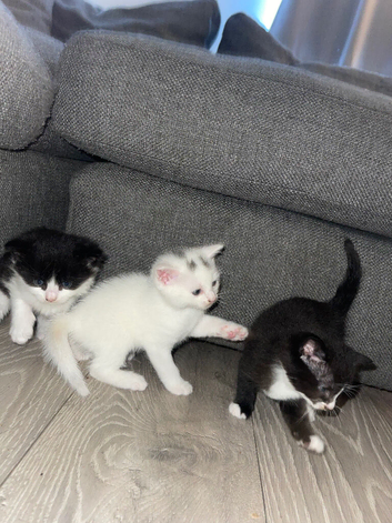 1 female 1 male