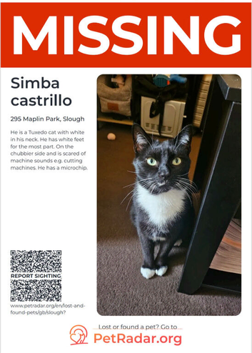 MISSING CAT PLEASE HELP
