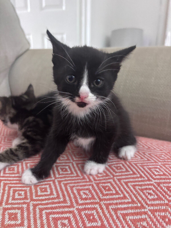 One little boy and one little girl