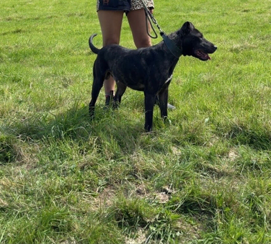 Gunner