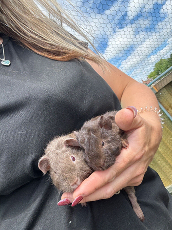2 little boys ready now