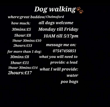 Dog walking in Chelmsford