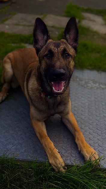 8 month Mali